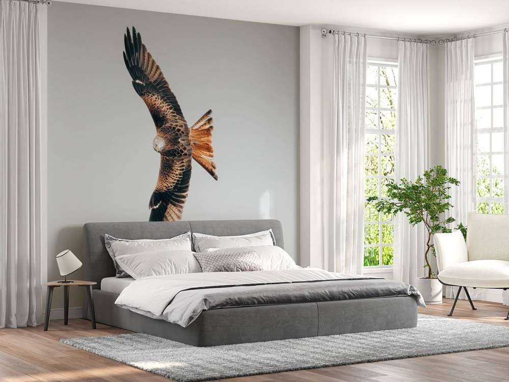 Rode wouw met gespreide vleugels