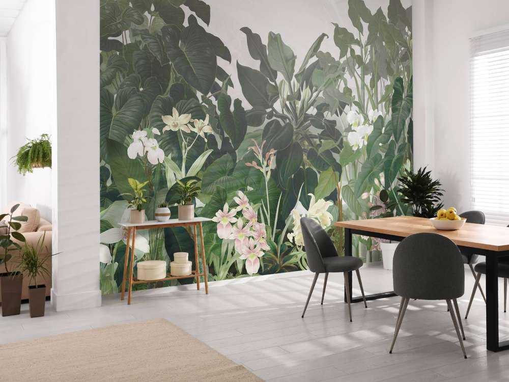 Walking to the Tropic 2