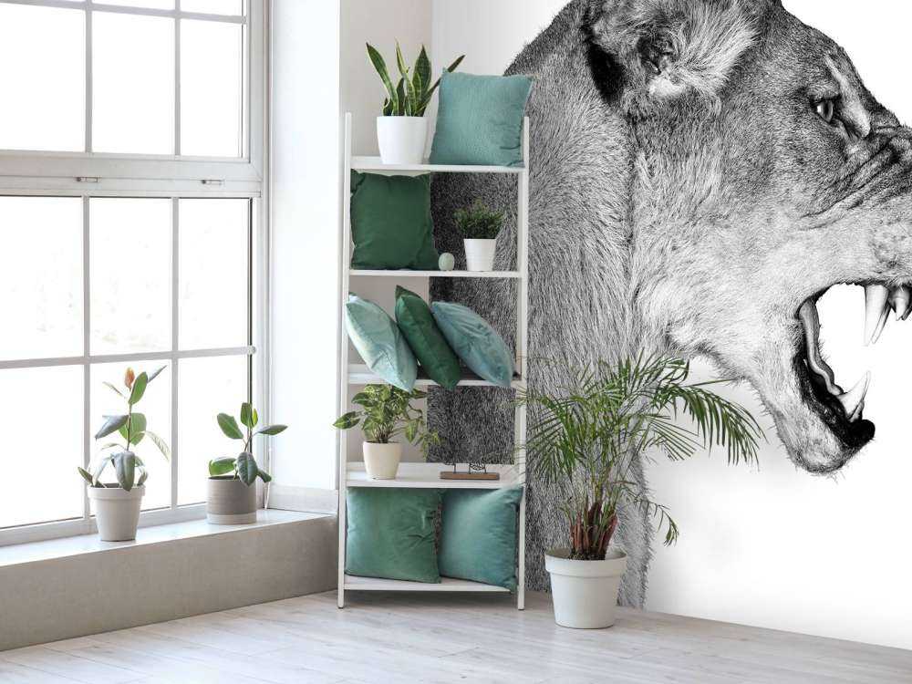 Lioness side view white