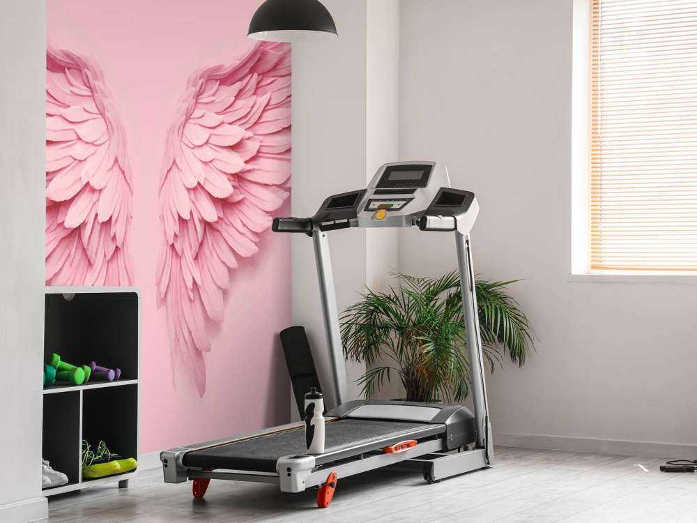 Pink angel wings backdrop