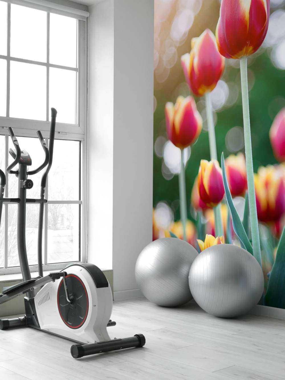 Rood met gele tulpen