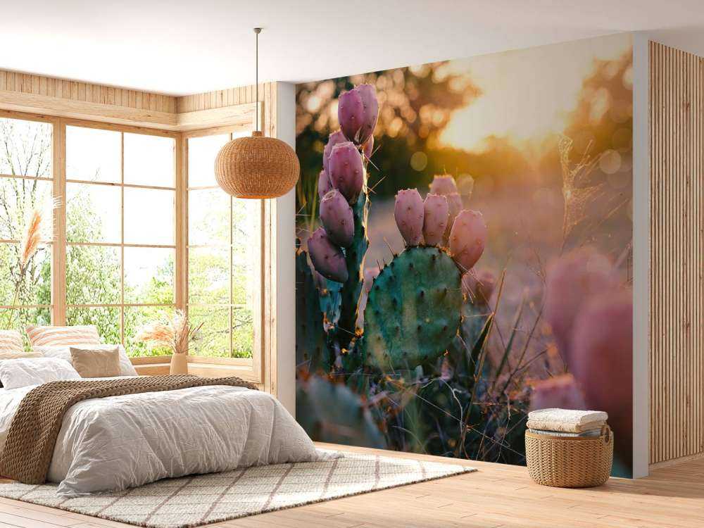 Cactus met bloemen