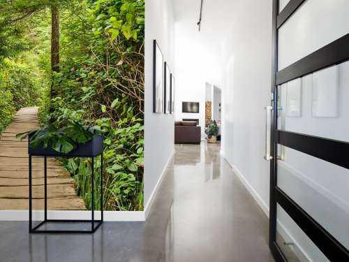 Houten pad door het groen
