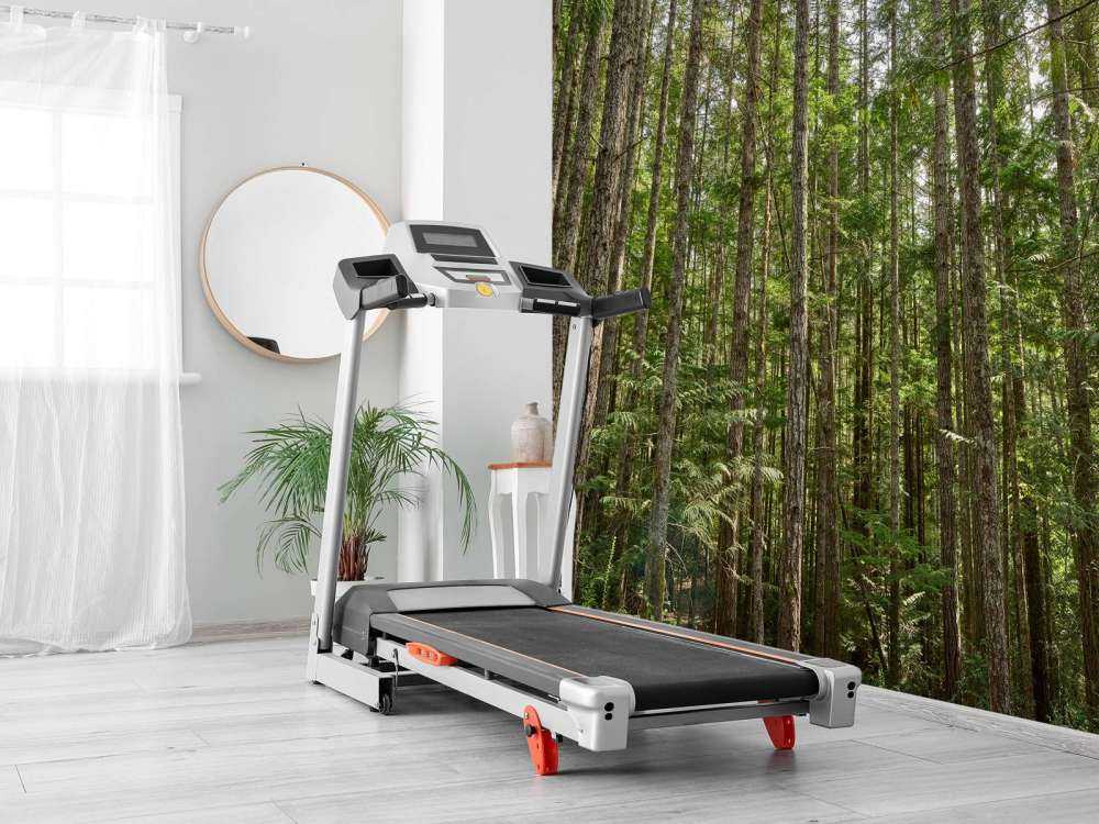 Dunne bomen in het bos