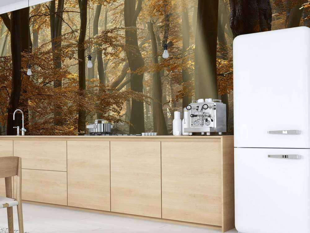 Herfstkleuren in het bos