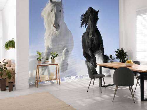 Wit en een zwart paard