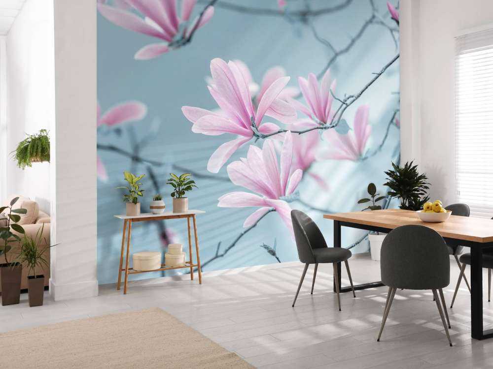 Magnolia bloemen