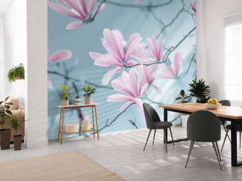 Magnolia bloemen