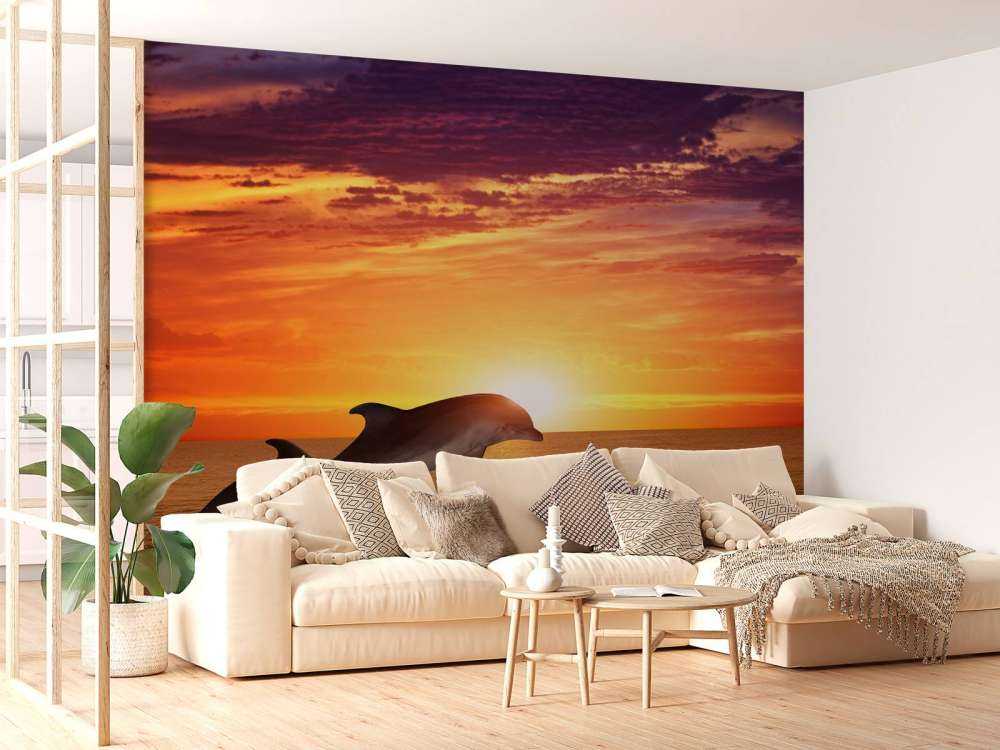 Dolfijnen in avondzon