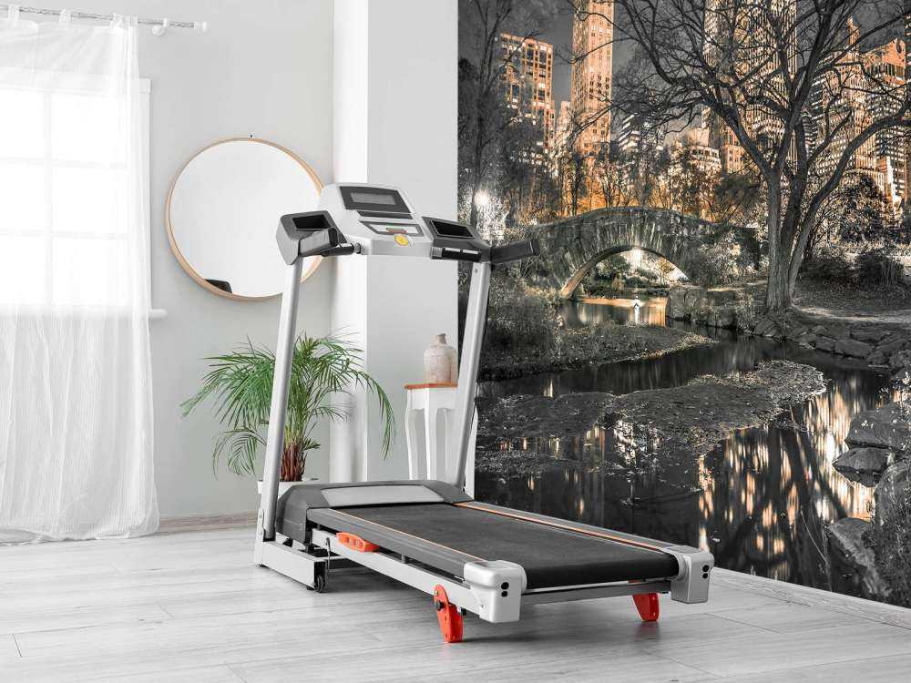 Central park in de avond