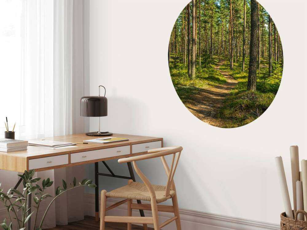 Wandelpad in dennenbos