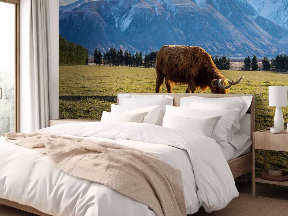 Hooglander met ingesneeuwde bergen