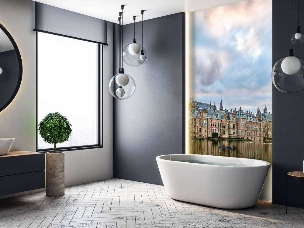 Hofvijver in Den Haag