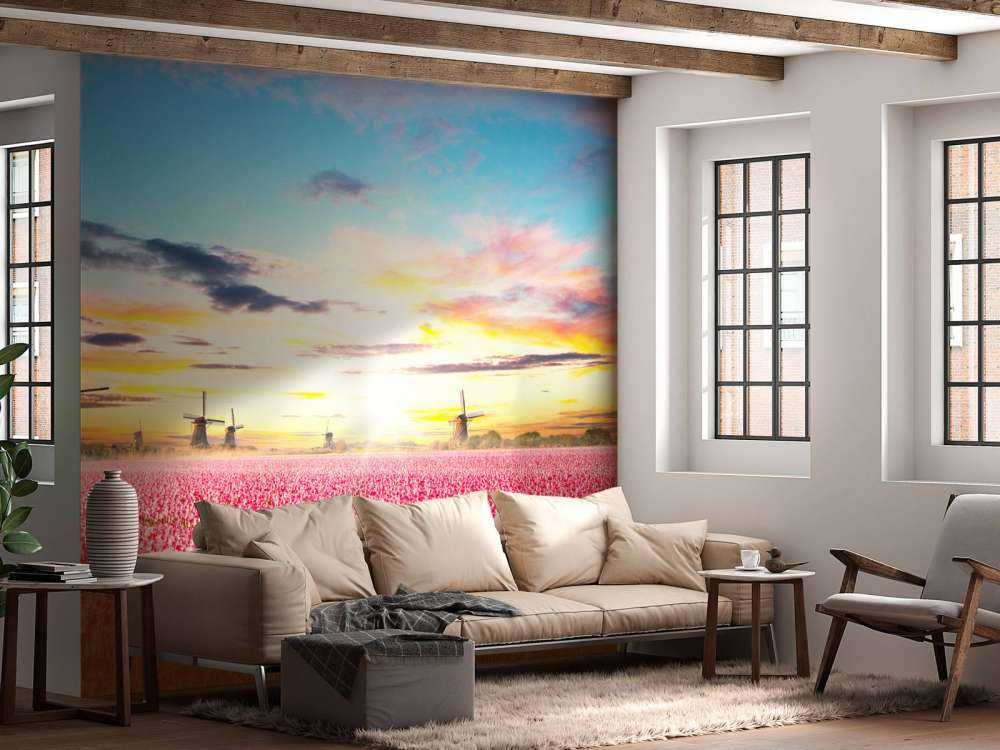 Hollands roze tulpenveld