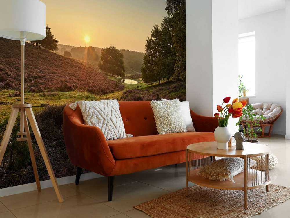 Waterplas op de heide