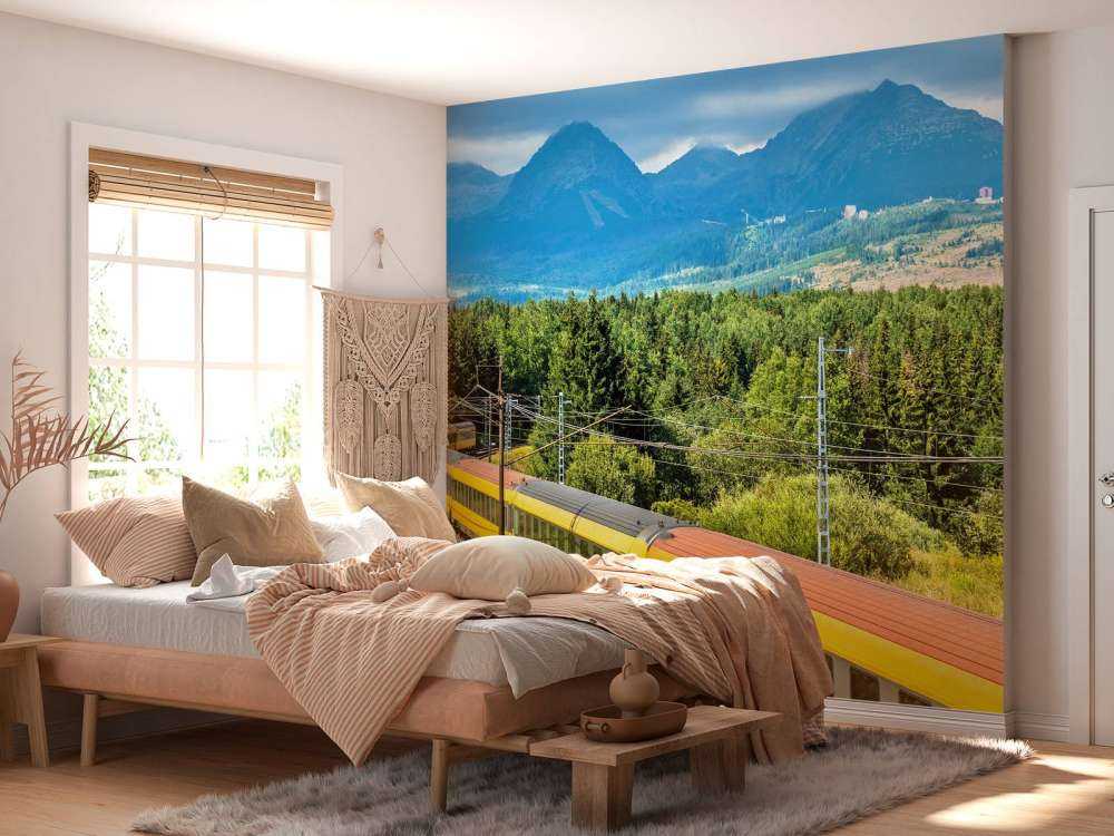 Trein door een bos in Slowakije