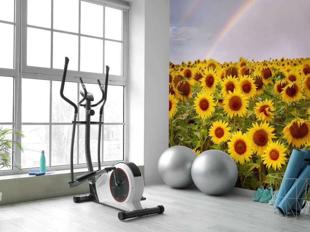 Regenboog bij zonnebloemen