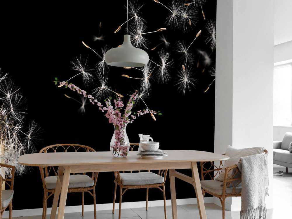 Paardebloem met een zwarte achtergrond