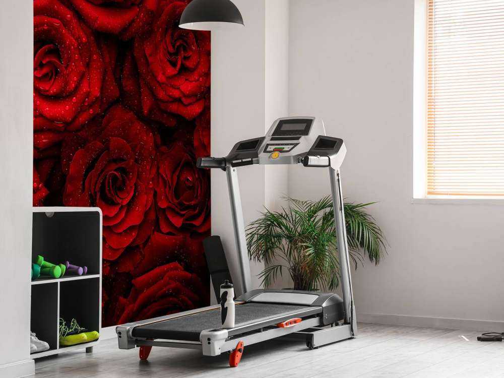 Rode rozen met druppels water erop