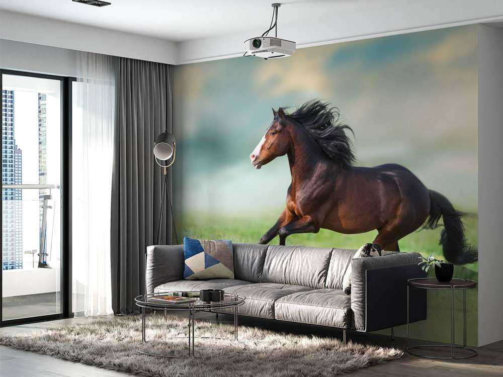 Paard aan het rennen