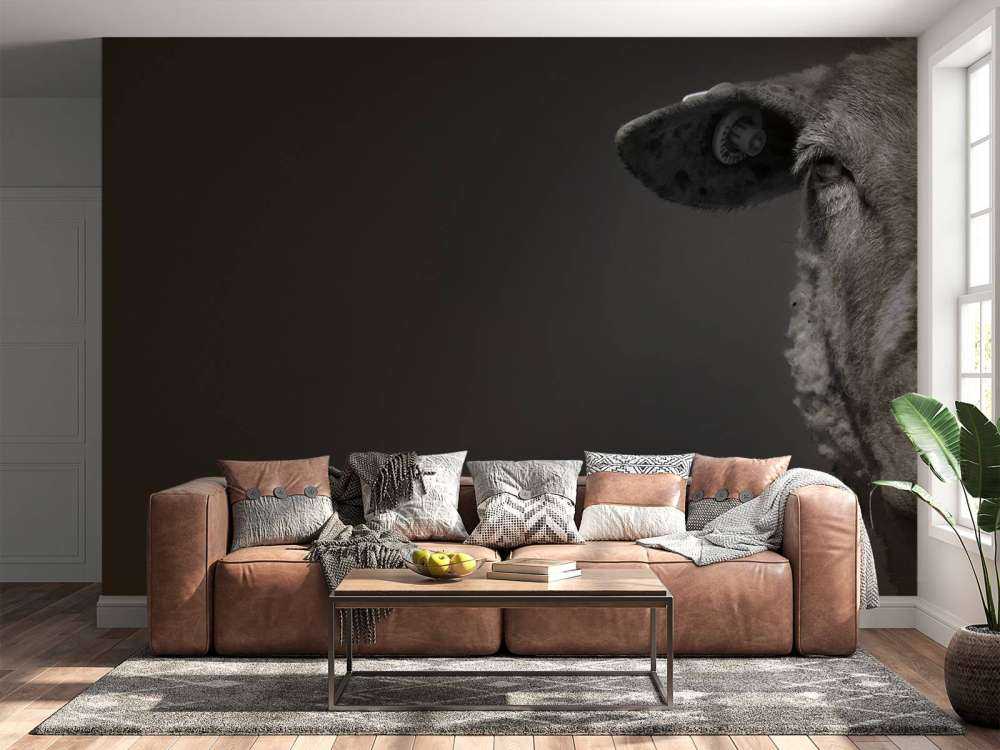 Close-up schaap zwart-wit