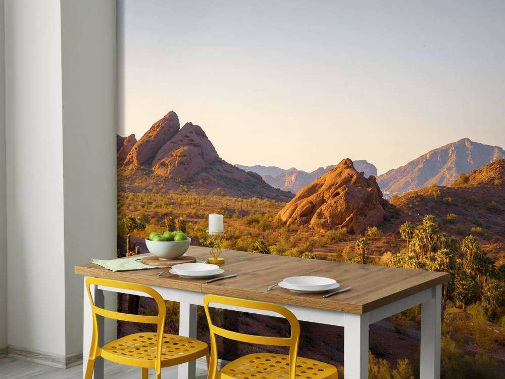 Woestijnlandschap met cactussen