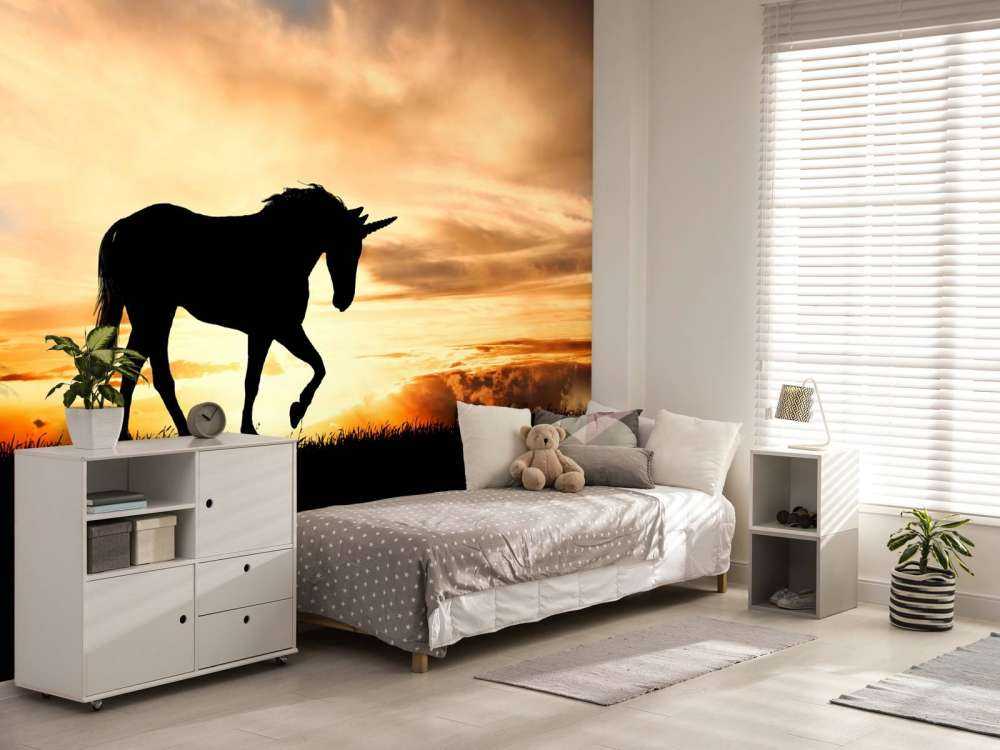 Unicorn silhouette bij zonsondergang