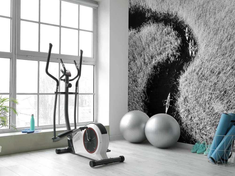 Kajaks in een rivier met riet