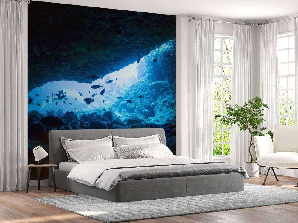 Smalle grot met vissen