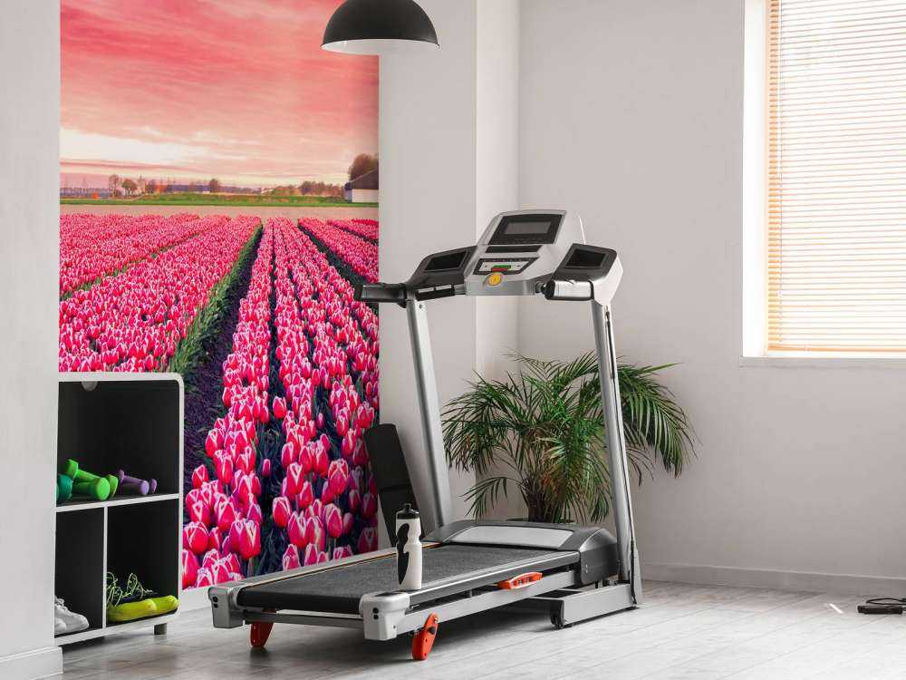 Roze tulpenveld met dynamische kleuren