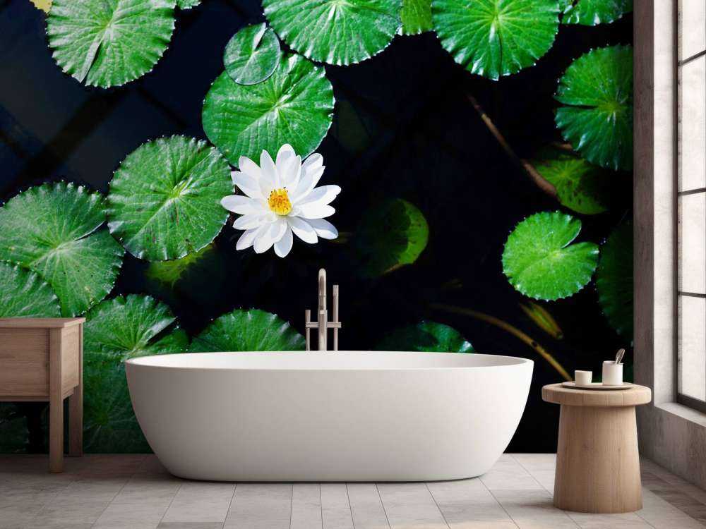 Opvallende witte kleine lotusbloem