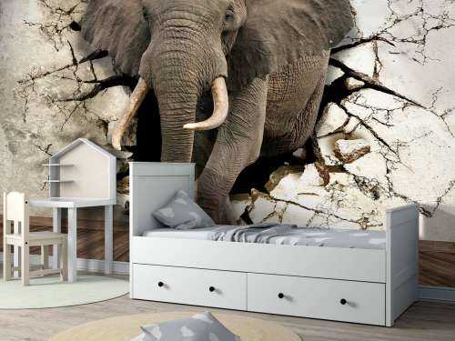 Grote olifant uit de muur