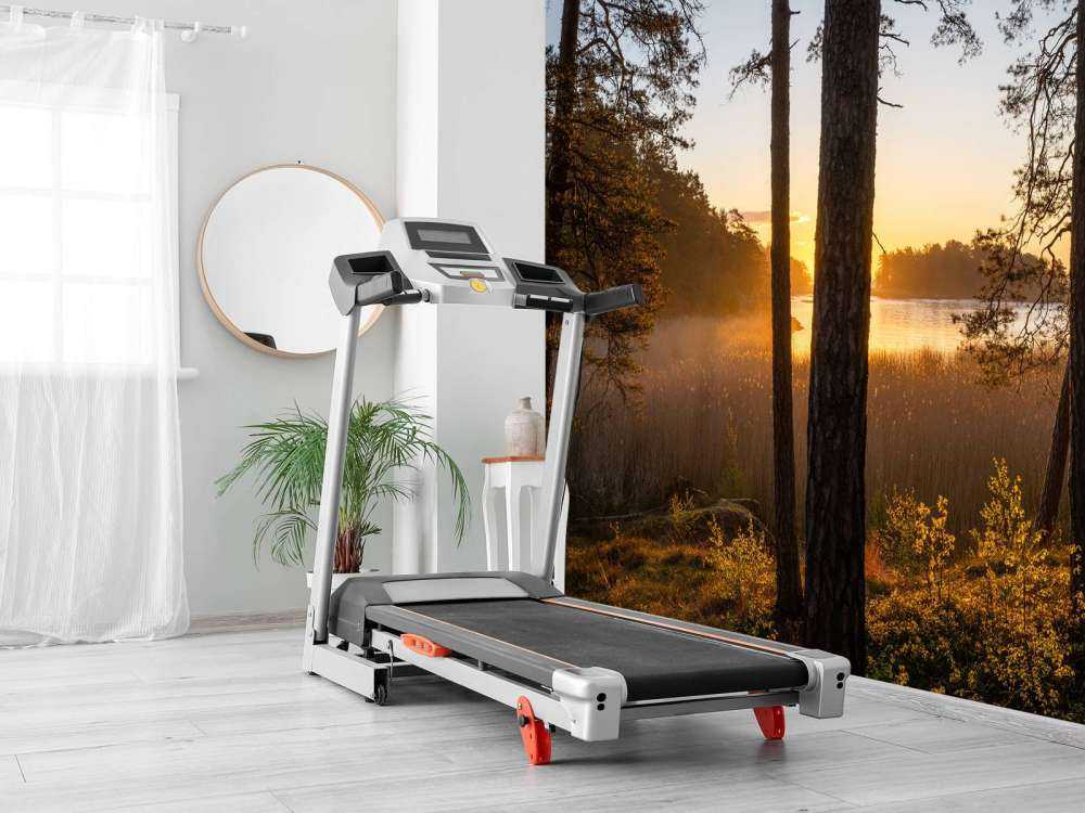 Bos tijdens zonsondergang