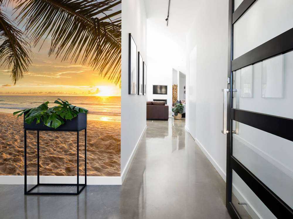 Palmboom bij zonsondergang