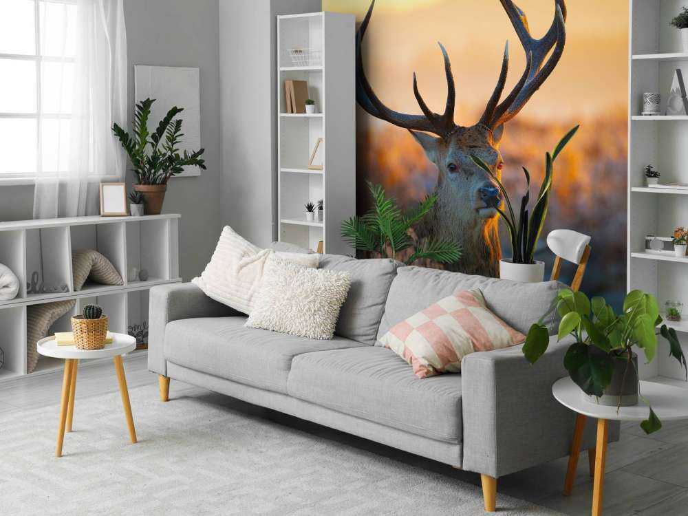 Portret van een Hert (Edelhert)