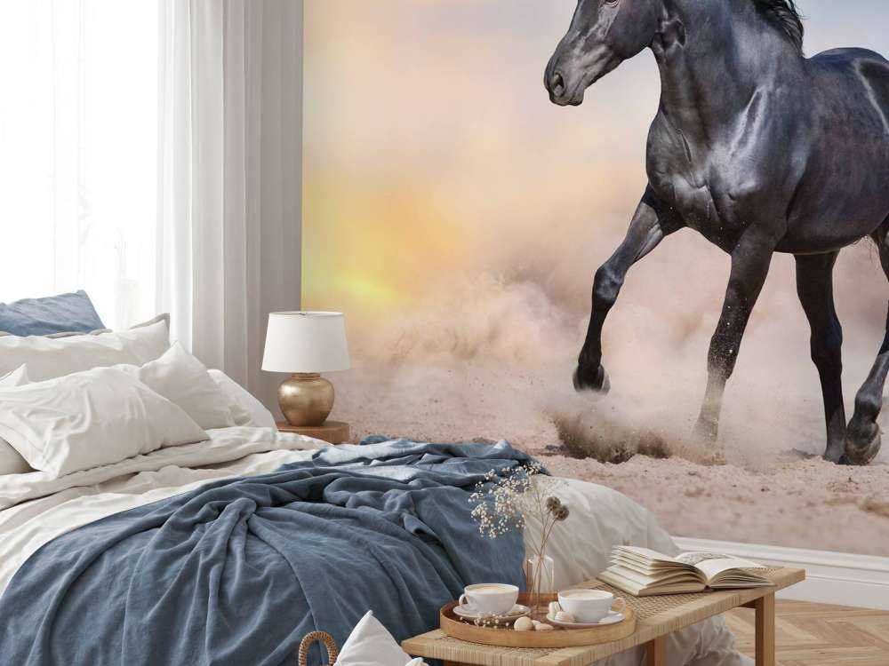 Mooi Zwart Paard in Zand