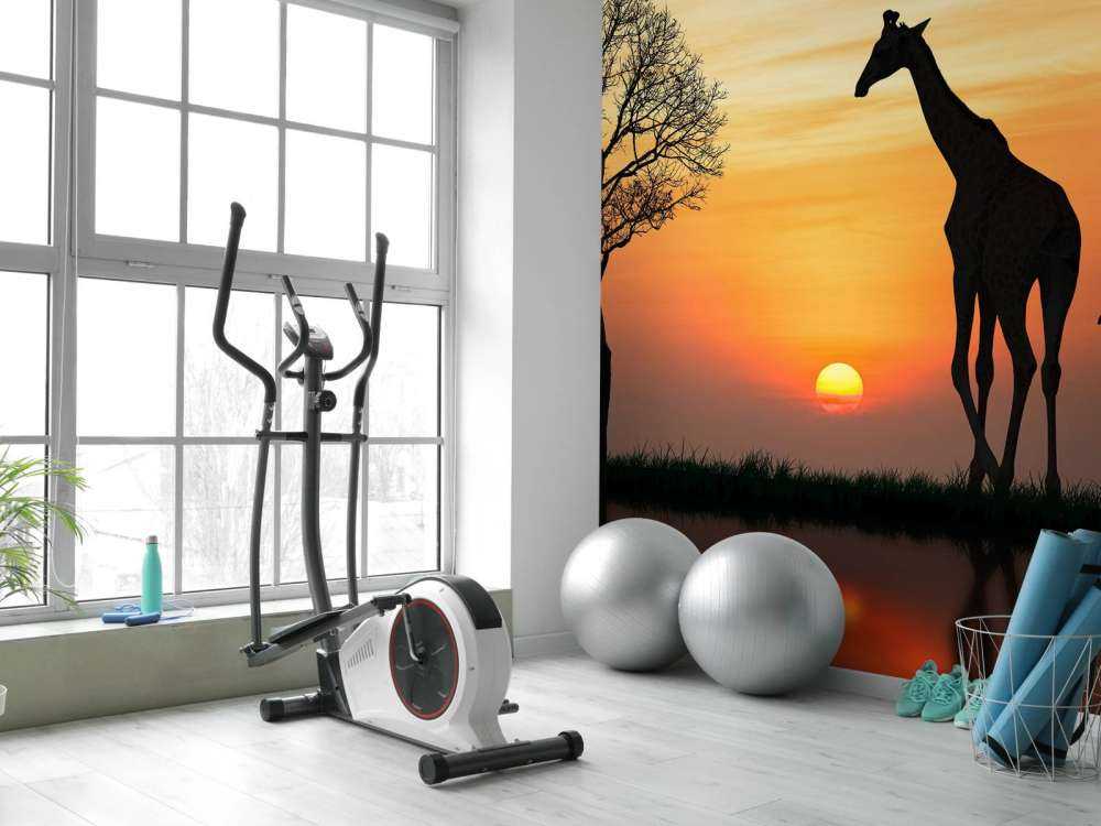 Giraffe achtergrond met zonsondergang