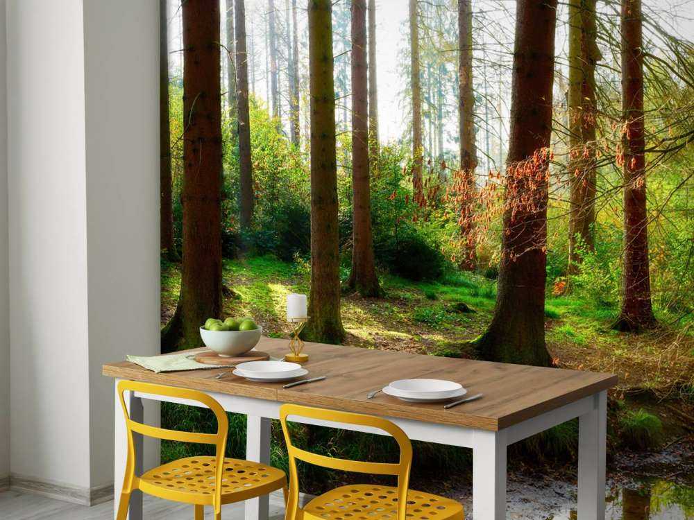 Herfstbos met helder zonlicht