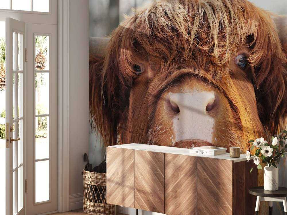 Grappige Portretfoto van Hooglander