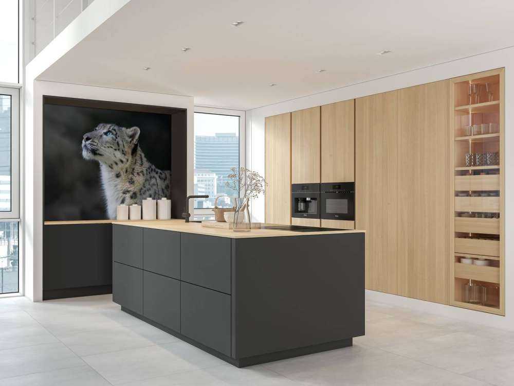 Sneeuwpanter met blauwe ogen