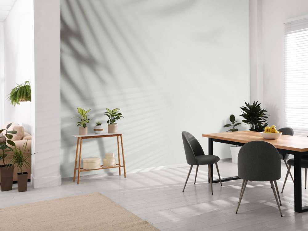 Schaduw van palmbladeren op de muur