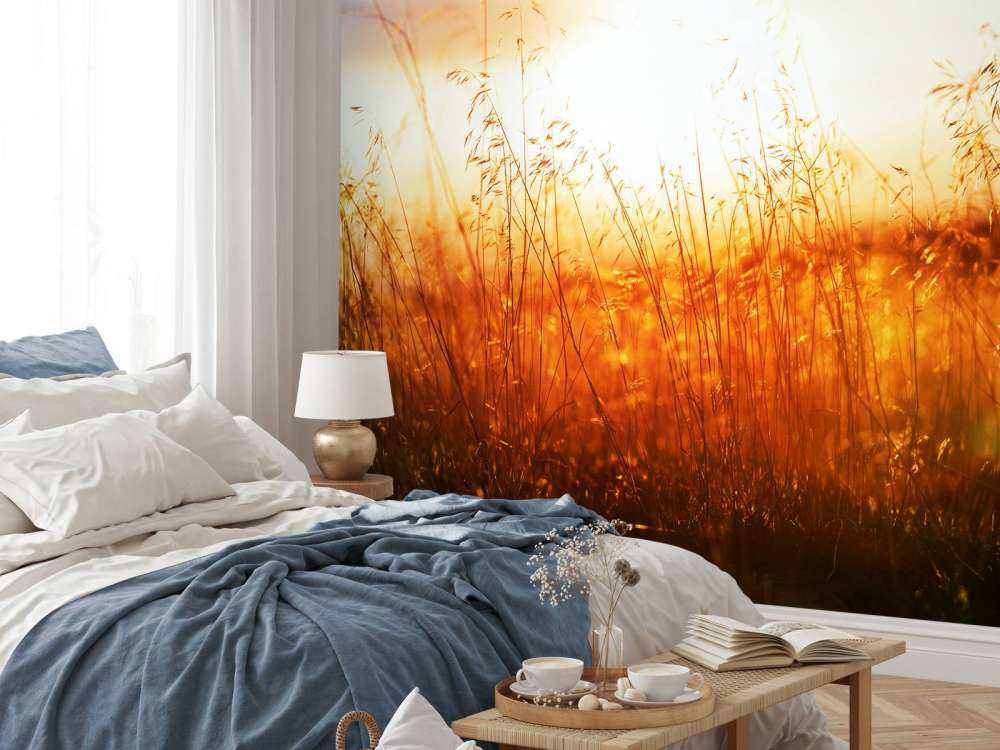 Een zonnige dag op de weide