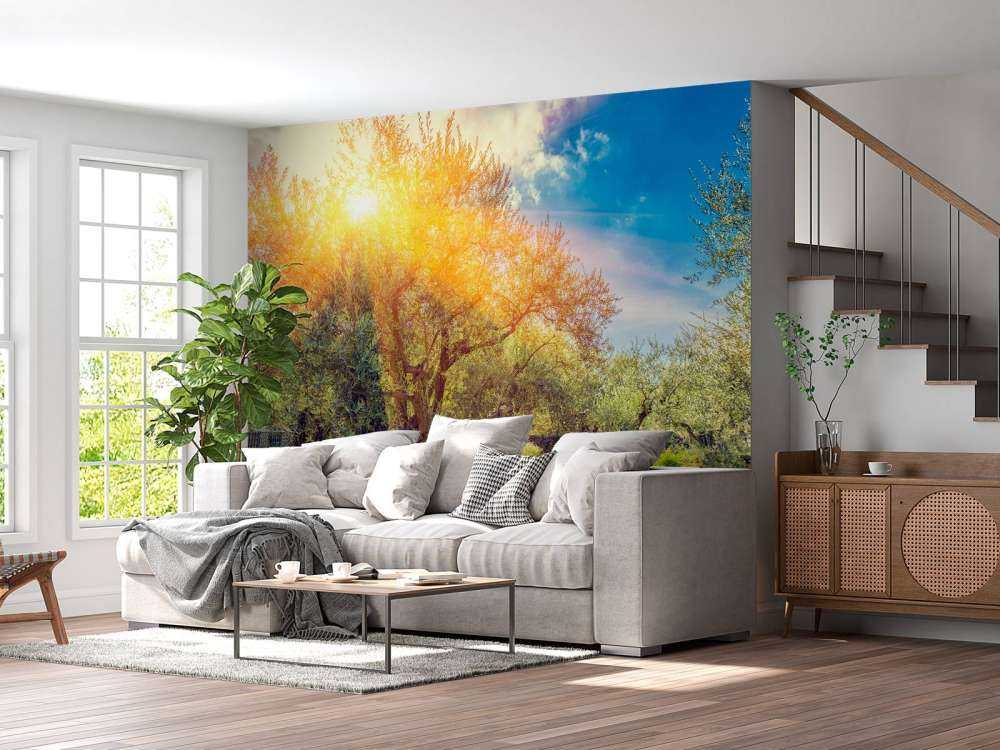 De Gethsemane olijven boomgaard bij zonsopkomst