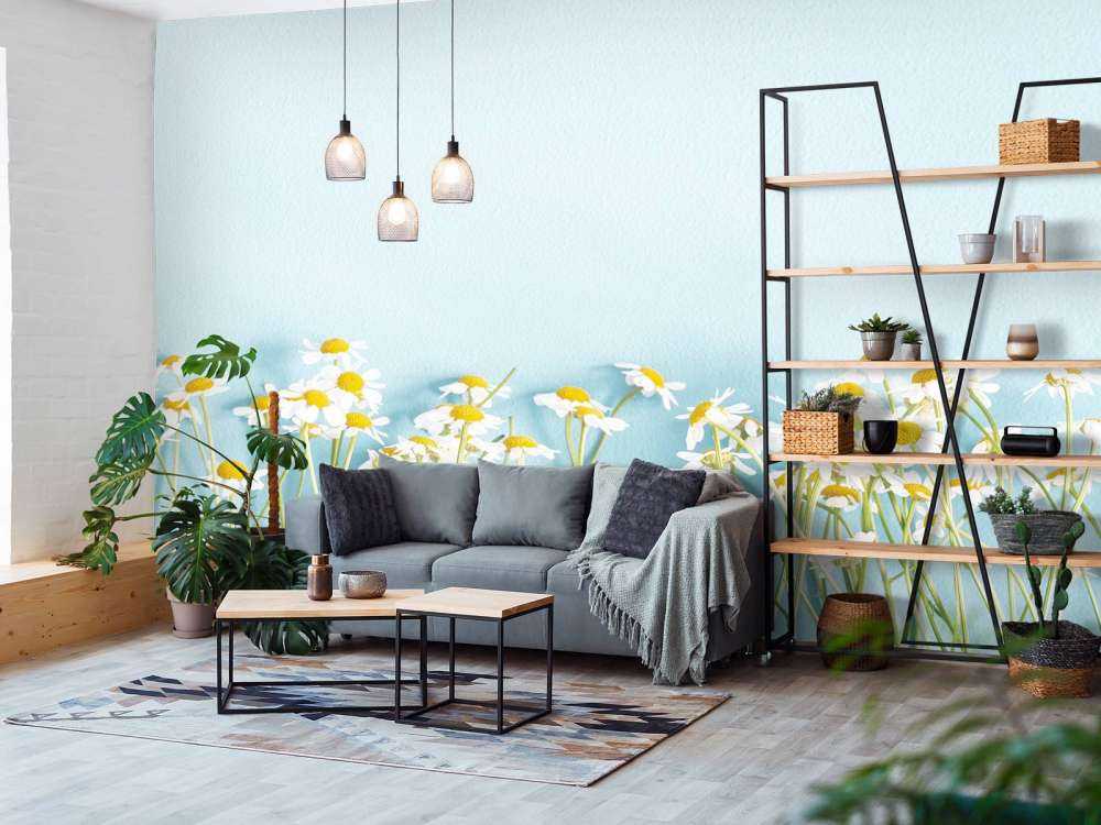 Kamille bloemen met een blauwe achtergrond