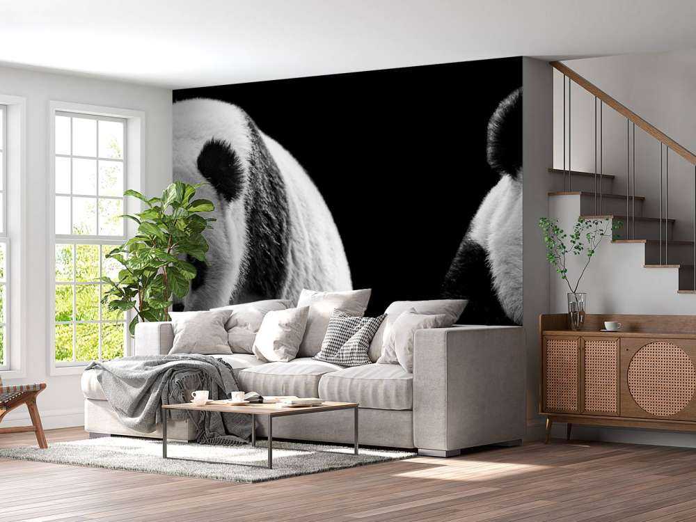 Panda's met een zwarte achtergrond