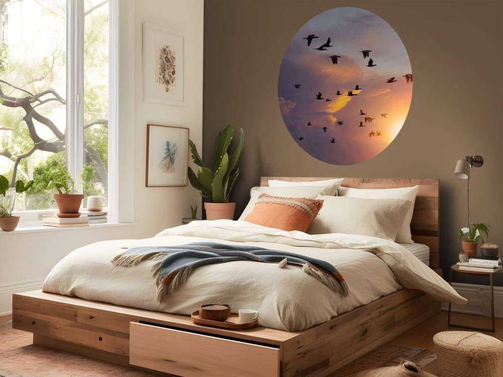 Vliegende aalscholvers bij zonsondergang