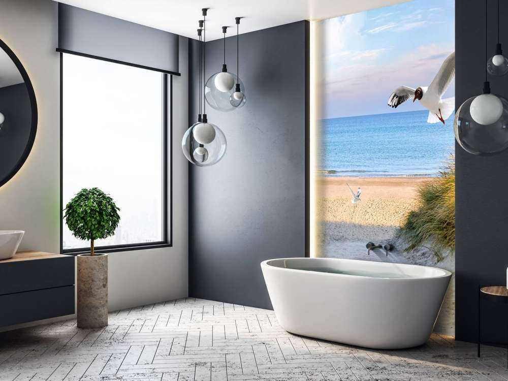 Meeuwen langs de Baltische kust