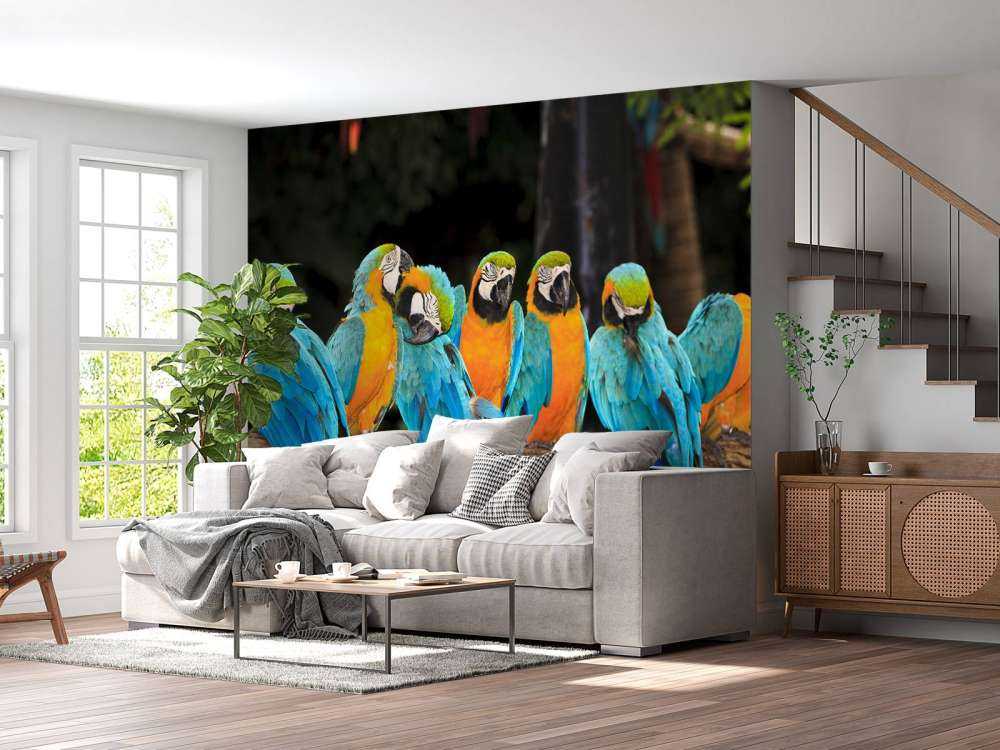 Papegaaien op een tak