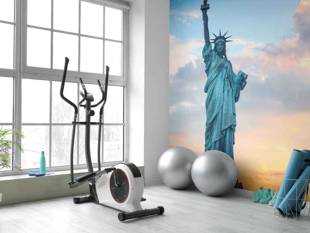 Het vrijheidsbeeld bij zonsondergang