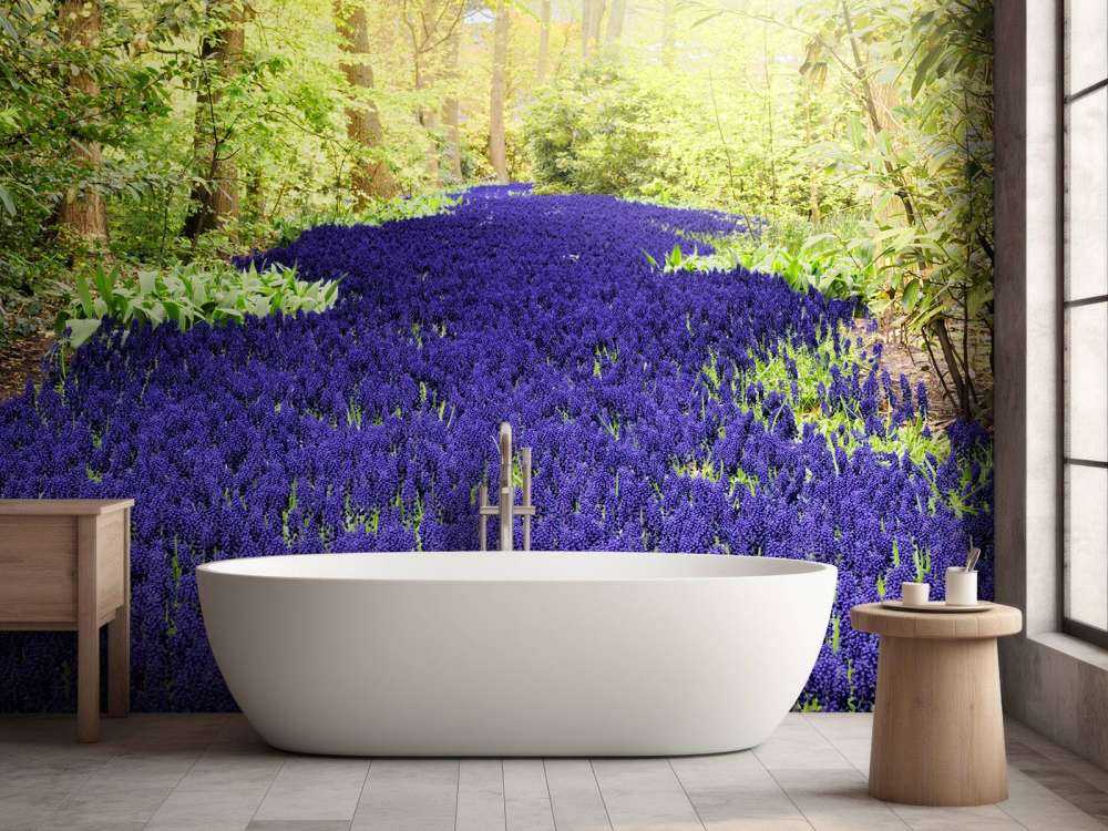 Paarse muscari in de Keukenhof tuinen